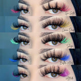 Colored lash box